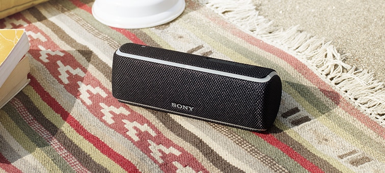teeee　SRS-XB21　4個 Especificações do SRS-XB21 | Colunas completamente sem fios | Sony