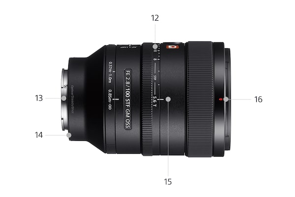 FE 100mm F2.8 STF GM OSS | SEL100F28GM | Sony Brazil